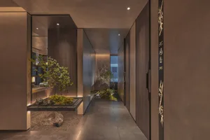 A modern hallway with two doors, one leading to a living area and the other to a dining area, flanked by three potted plants