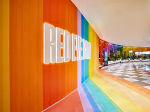A colorful hallway with a rainbow-colored wall, potted plants, and a modern atmosphere