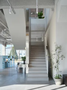 A clean and well-maintained staircase in a modern office building with concrete stairs and a white railing, flanked by two potted plants