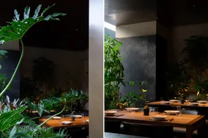 Cozy dining space with a large wooden table, multiple chairs, and potted plants, dimly lit for a warm ambiance