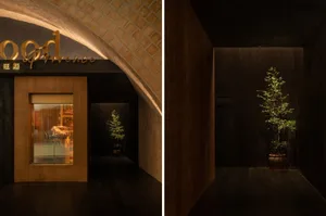 A retail store with a welcoming atmosphere, featuring potted plants and a tree, and a doorway leading to the interior
