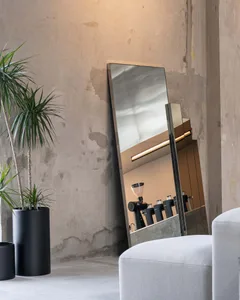 A modern living space with a large mirror, two couches, a potted plant, and a vase, featuring a clean, minimalistic, and well-lit atmosphere