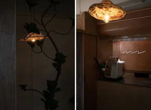 Cozy kitchen with green plants, wooden surfaces, and a mix of natural and artificial lighting