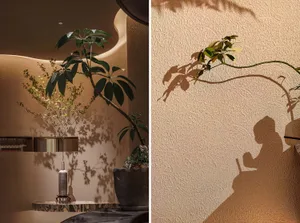 A cozy living area with a potted plant on a countertop, casting a shadow on the wall, and a rendered scene of a similar setup with additional decorative items