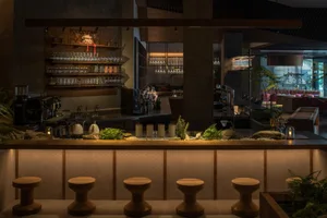 A cozy bar area with a long wooden counter, bottles, wine glasses, and potted plants, creating a welcoming atmosphere for patrons to socialize and enjoy drinks