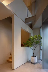 A calm indoor space with a white wall, a tree in a pot, and two potted plants, with a vase nearby, creating a peaceful atmosphere