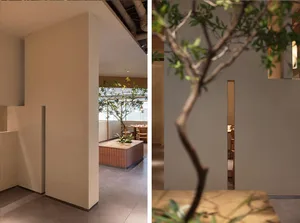 餐廳內部設有多個用餐區、座椅與一棵大樹，營造舒適親切的氛圍