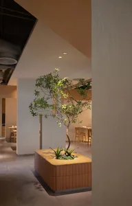 A cozy restaurant interior with chairs, dining tables, and potted plants, including a bonsai tree, creating a welcoming atmosphere