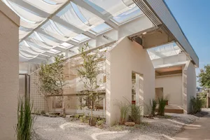 A relaxed indoor space with potted plants, two chairs, and a focus on incorporating nature into the interior design