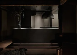 A kitchen with a black countertop, two chairs, a potted plant, and a vase, adding a touch of greenery and decoration