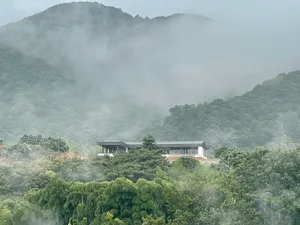 一座環繞樹木的現代住宅，位於山區，大片窗戶讓自然光線充滿空間