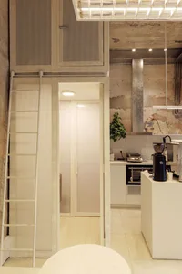 Open kitchen and bathroom area with white cabinets, a shower stall, potted plants, and a microwave