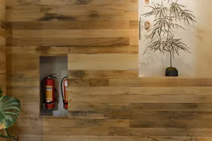 Interior space with wooden walls and floors, featuring a potted plant and two fire extinguishers on the walls