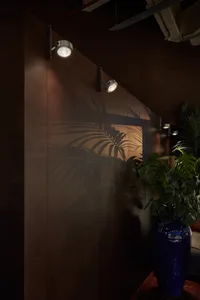 Dimly lit room with a brown wooden panel, palm trees, and a large potted plant