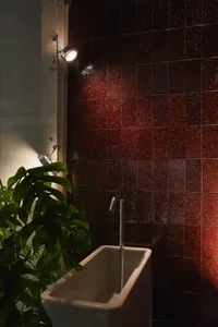 Bathroom with a white porcelain sink, red wall tiles, and a potted plant, illuminated by overhead lights
