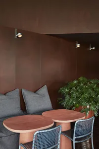 Cozy living space with two couches, two dining tables, and a potted plant, featuring a warm and inviting atmosphere
