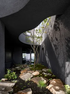 A modern room with a large tree growing through the floor, surrounded by potted plants and gray walls with black accents