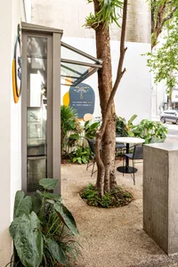 Outdoor dining patio with a stone floor, a dining table, and potted plants, set against a backdrop of parked cars