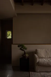 Cozy living area with a couch, two potted plants, and a vase, set against a wall