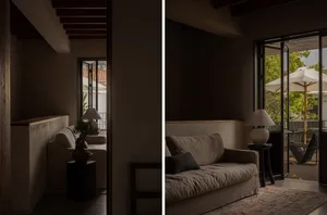 Cozy living room with a couch, chair, and potted plants in front of a window