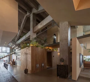 Open living area with a wooden wall divider, potted plants, a dining table, and a vase, exuding a warm and inviting ambiance