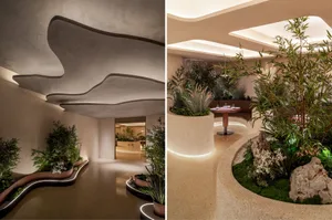 A cozy living space with potted plants and chairs, creating an inviting atmosphere