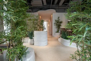 A calm and inviting indoor space with potted plants, trees, and decorative vases, creating a sense of tranquility
