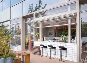 Inviting restaurant with a bar area, wooden walls, and potted plants, featuring a mix of natural and artificial lighting