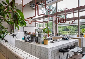 Cozy kitchen with a countertop featuring potted plants, cups, bowls, and bottles, accompanied by two chairs and a sink, creating a warm and inviting atmosphere