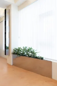 A calm and inviting indoor space with a large window, white curtains, and several potted plants adding a touch of greenery