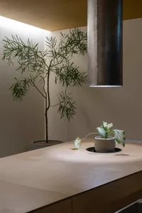 A small indoor space with a wooden table, potted plants, and a vase, creating a cozy and inviting atmosphere with a focus on greenery and natural elements