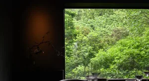 A dark room with a view of trees through a window