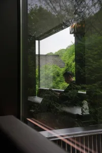 A man sits on a bench in a peaceful living area, surrounded by a potted plant and natural light from a window