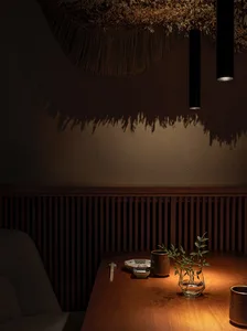 Cozy dining space with a wooden table, potted plants, and various tableware