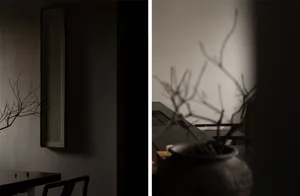 Dimly lit living room with black and white decor, chairs, and a vase, viewed from both inside and outside