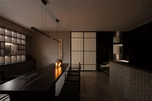 Modern kitchen and dining space with a black countertop, two chairs, a potted plant, and a vase, creating a comfortable and stylish atmosphere