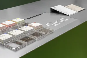 A wooden table in an indoor setting displays various items including coffee beans and papers