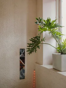 A cozy indoor space with a white vase and two thriving potted plants on a window sill, suggesting a peaceful living environment