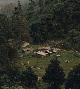A small rustic farmhouse surrounded by trees and mountains, with a cozy atmosphere and a sense of tranquility