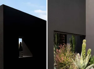 Modern interior design with potted plants and a cactus near a window, featuring clean lines and simplicity