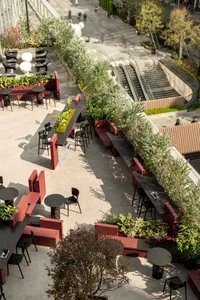 Modern restaurant interior with dining tables, chairs, and potted plants, creating a comfortable and inviting atmosphere