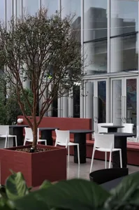 A dining area with multiple tables and chairs, benches, and an inviting atmosphere for socializing and meals