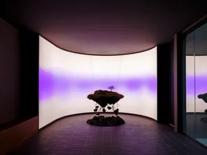 A purple rock tree in a glass bowl sits on a table in a darkened room