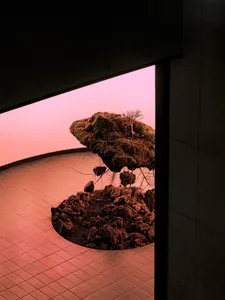 A dark room with a forest environment created by arranged trees and rocks, inviting mystery and intrigue