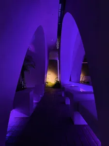 Purple interior space with benches and potted plants, featuring a modern and stylish atmosphere