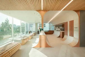 Open office space with wooden floors and walls, featuring benches and chairs, a potted plant, and a modern atmosphere