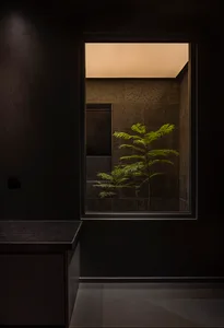 Bathroom with a black countertop, sink, mirror, and two potted plants, with natural light entering through a window