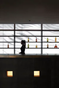 A woman works behind a bar with a vast array of liquor bottles, suggesting a lively social gathering or event