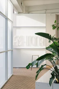 Modern showroom with a large white wall featuring black lettering, two potted plants, and a chair in a minimalist space