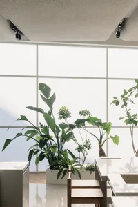A serene indoor space filled with various potted plants on tables and countertops, adding a touch of nature to the interior design